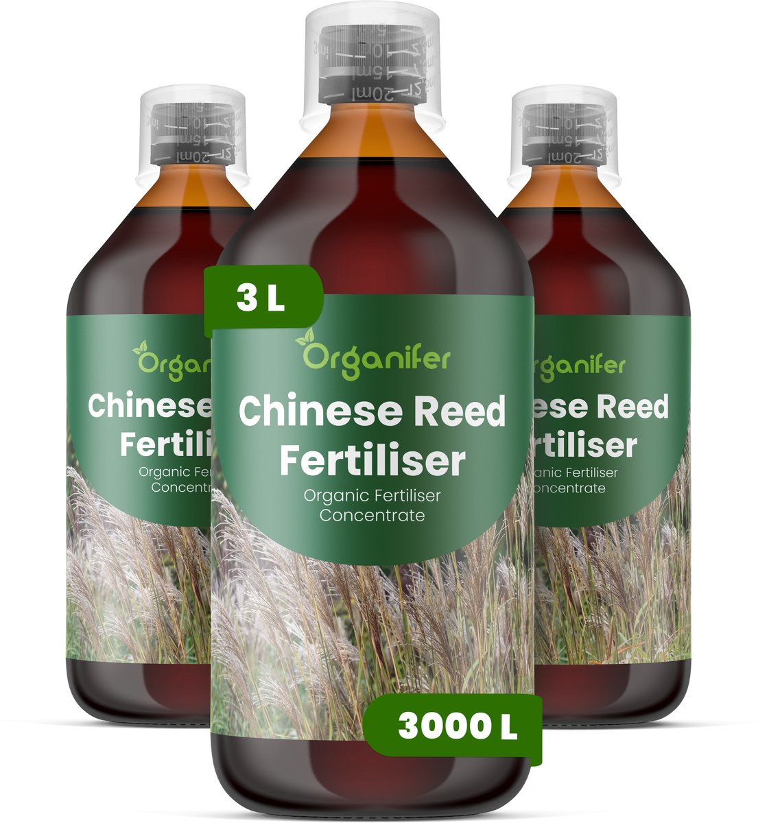Vloeibare Meststof Voor Chinees Riet 3X1 L Voor 3000 L - Npk 3-4-3 - Siergras - Architectonische Bladeren - Sterke Pluimvorming - Rizoom Ontwikkeling - Windbestendige Stengels - Hittebestendig - Droogtebestendig - Organifer