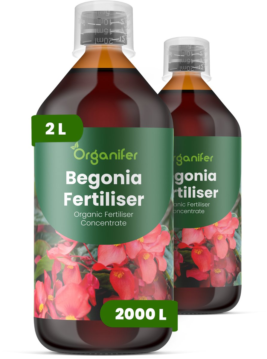 Vloeibare Meststof Voor Begonia 2X1 L Voor 2000 L - Npk 2-1-8 - Krachtige Groei - Weelderig Blad - Levendige Bloemen - Sterke Wortelontwikkeling - Bladkleur - Plantvitaliteit - Zachte Nutriëntenopname - Organifer