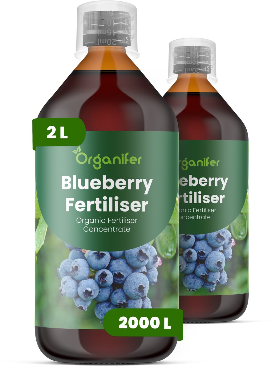 Vloeibare Meststof Voor Blauwe Bessen 2X1 L Voor 2000 L - Npk 2-1-8 - Sterke Scheuten - Grotere Bessen - Diepe Blauwe Kleur - Zure Bodem - Sterk Wortelstelsel - Vruchtzetting - Stressbestendig - Hoge Opbrengst - Organifer