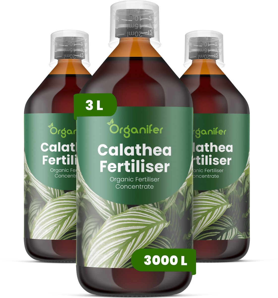 Vloeibare Meststof Voor Calathea 3X1 L Voor 3000 L - Npk 2-1-8 - Krachtige Groei - Patroonhelderheid - Bladlevendigheid - Sterk Wortelstelsel -Compacte Groei - Bladontplooiing - Plantsymmetrie - Gezonde Scheutvorming - Organifer