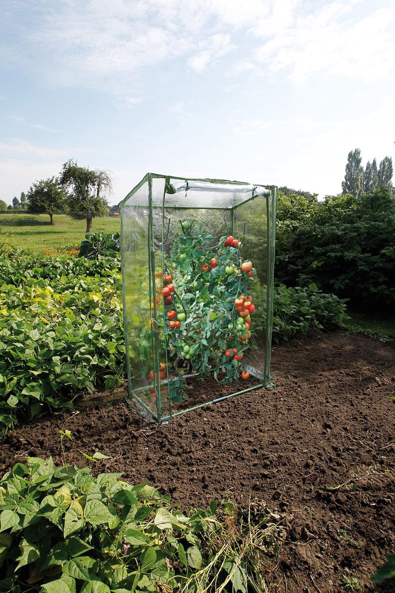 Talen Tools Nature Serre à tomates - H150x100x50cm