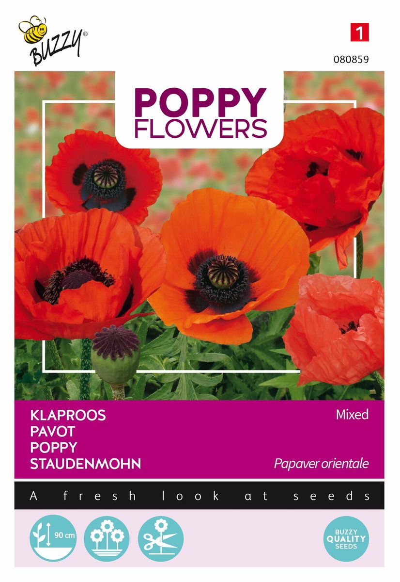 Buzzy® Poppies of the world - Papaver Orientaalse