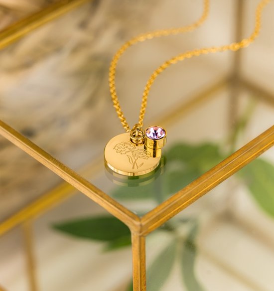 KAYA Sieraden | Geboortesteen- en Bloem Ketting Januari | Stainless Steel- Zilver