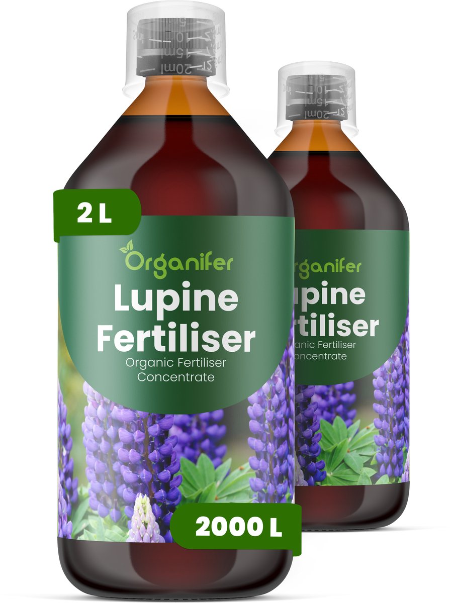 Vloeibare Meststof Voor Lupinus 2 L Voor 2000 L - Npk 2-1-8 - Geschikt Voor Alle Lupinus - Bevordert De Ontwikkeling Van Hoge - Rechtopstaande Bloemaren - Verhoogt De Intensiteit Van Levendige Kleuren En Verlengt De Bloeiduur - Organifer