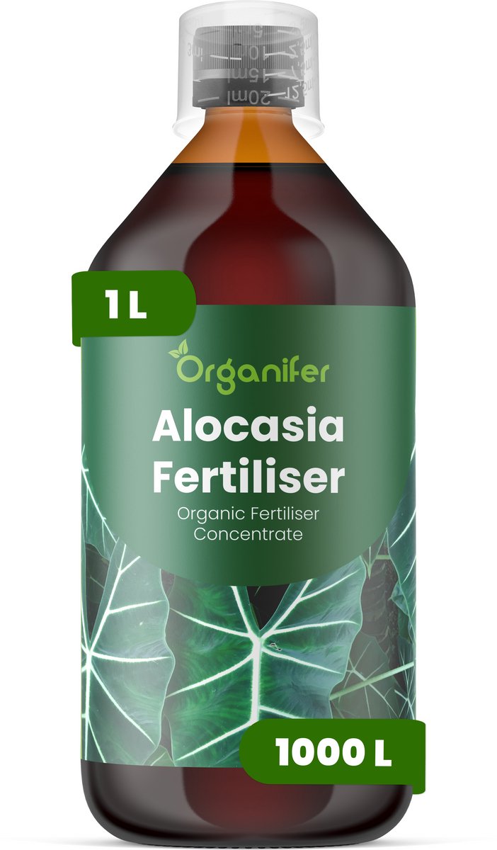 Vloeibare Meststof Voor Alocasia - 1 L Voor 1000 L - Npk 2-1-8 - Voor Тropische Bladplanten - Rechtopstaande Groei - Krachtige Wortelgroei - Weinig Licht - Droogtebestendig Waterregulatie - Organifer