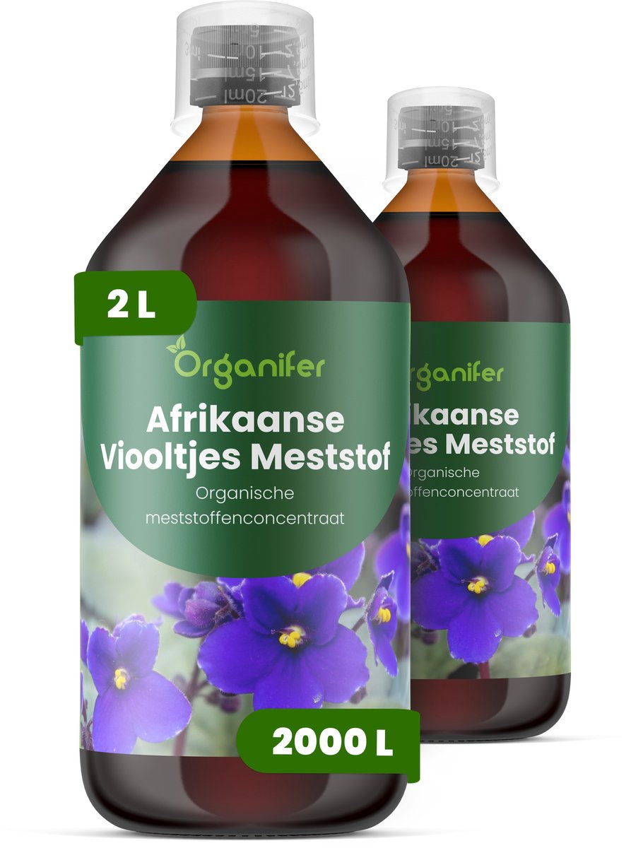 Vloeibare Meststof Voor Afrikaanse Viooltjes - 2X1 L Voor 2000 L - Npk 3-4-3 Voor Heldere Bloemen - Sterke Wortels - Compacte Plantstructuur - Diepe Bladkleur - Betrouwbare Bloei - Knopvorming - Kamerplanten - Organifer