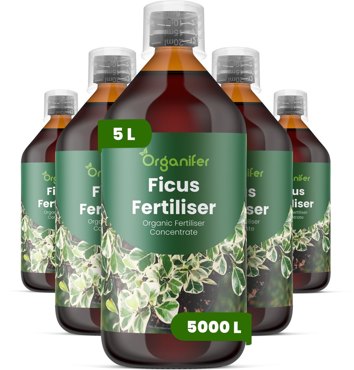 Vloeibare Meststof Voor Ficus - 5X1 L Voor 5000 L - Npk 2-1-8 - Krachtige Groei - Donkergroen Blad - Stevige Bladstructuur - Compacte Groei - Bladval Voorkomen - Verbetert De Efficiëntie Van Nutriëntenopname - Organifer
