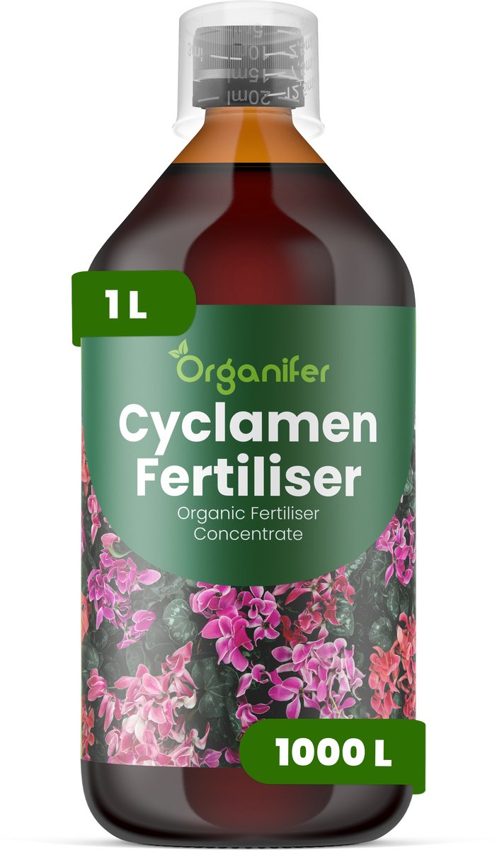 Vloeibare Meststof Voor Cyclaam 1 L Voor 1000 L - Npk 2-1-8 - Sterke Groei - Rijke Bloei - Knolontwikkeling - Plantgezondheid - Weerbaarheid - Decoratief Blad - Kleurhelderheid - Knopvorming - Organifer