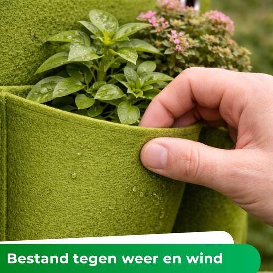 Close-up van een groene plant in een vakje van een verticale tuin, met een hand die de plant aanraakt.