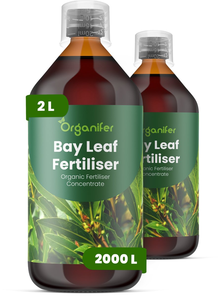 Vloeibare Meststof Voor Laurierblad 2X1 L Voor 2000 L - Npk 3-4-3 - Аromatisch Blad - Gelijkmatige Bladproductie - Sterke Wortelontwikkeling - Hittebestendig - Droogtebestendig - Plantvitaliteit - Herstel Na Snoei - Organifer