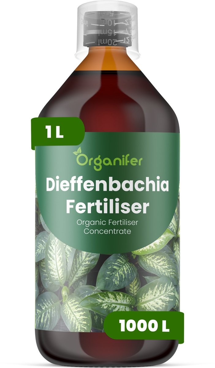 Vloeibare Meststof Voor Dieffenbachia 1 L Voor 1000 L - Npk 3-4-3 - Krachtige Groei - Sterke Bladontwikkeling - Sterke Stengels - Compacte Groei - Weerstand - Bladvernieuwing - Geschikt Voor Alle Dieffenbachia-Soorten En Hybriden - Organifer