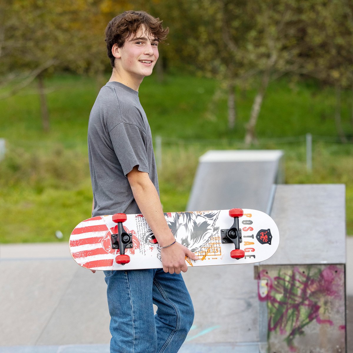 Schildkröt skateboard wolf 31 inch skateboard voor kinderen en volwassenen. Multicolor