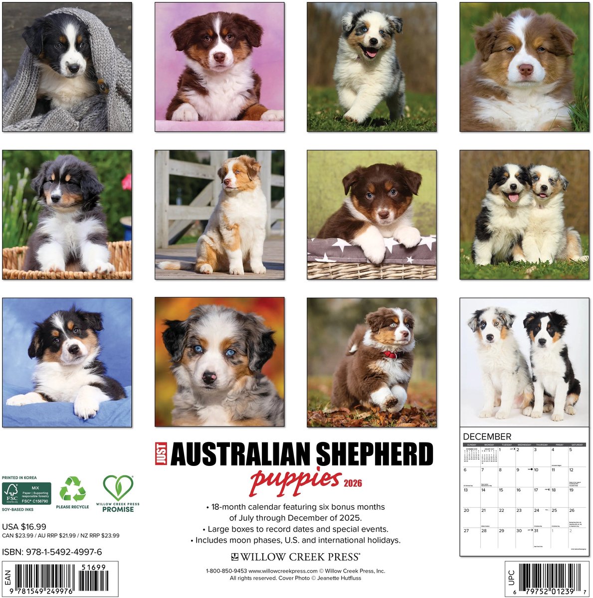 Australian Shepherd Puppies Kalender 2026