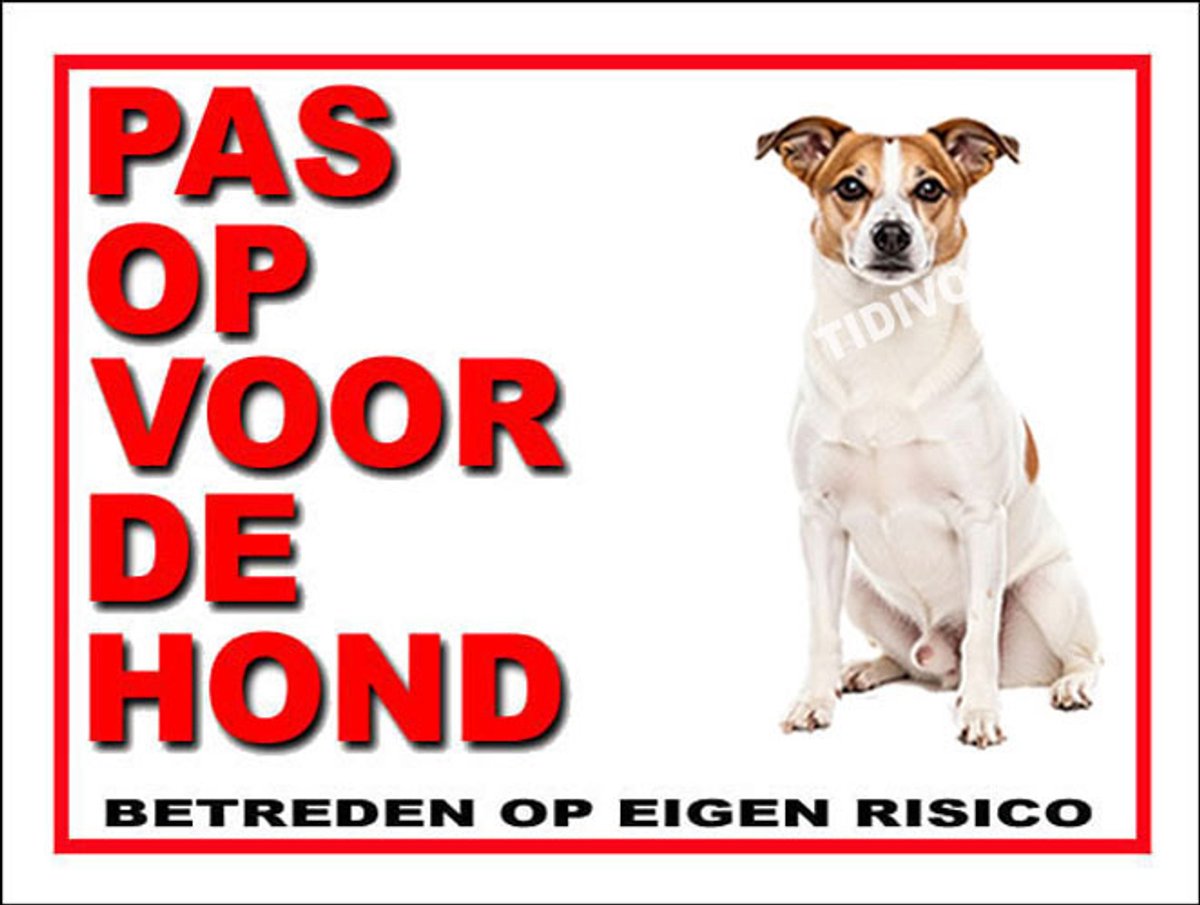 Norrbottenspets 13