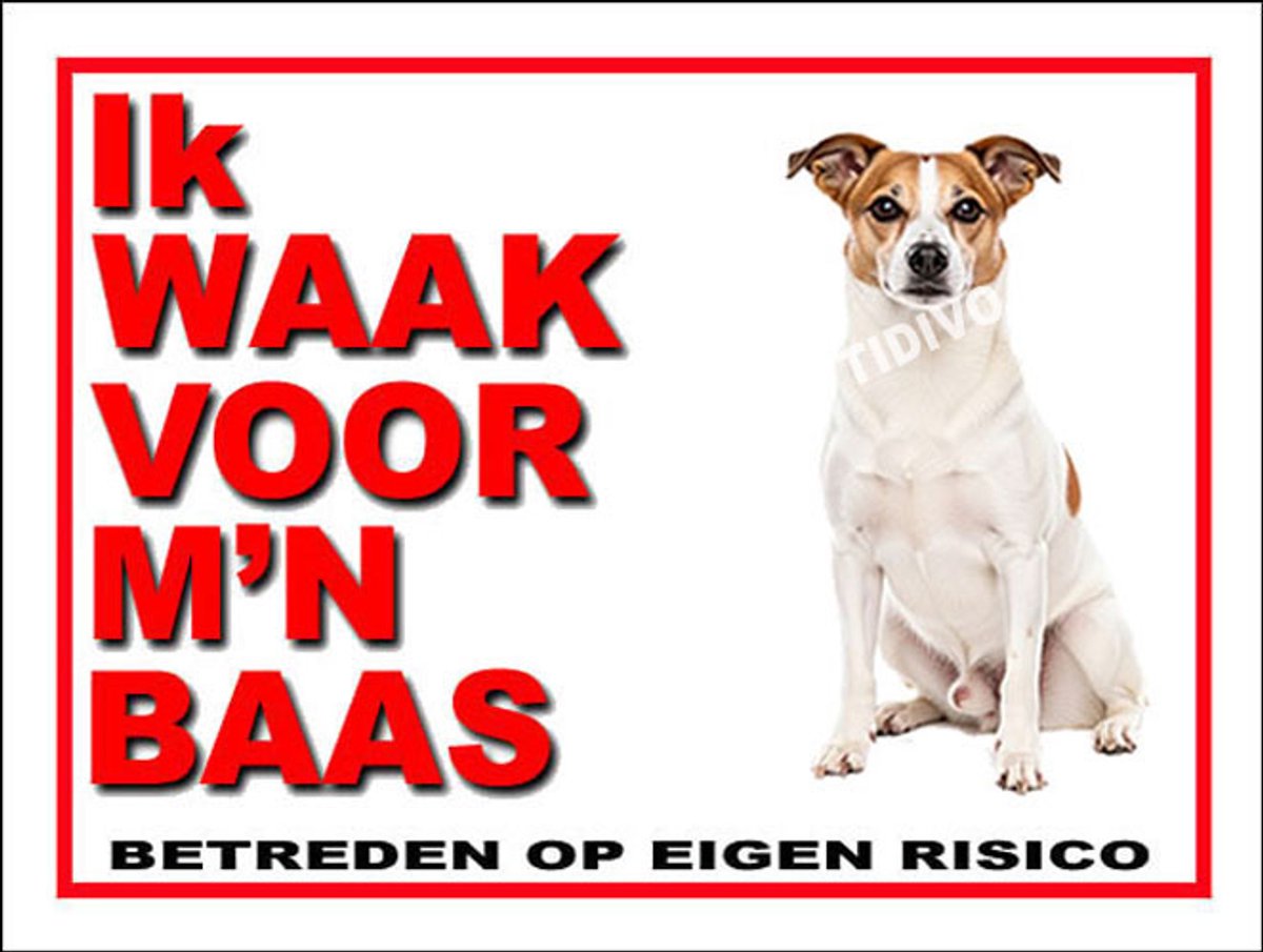 Norrbottenspets 9