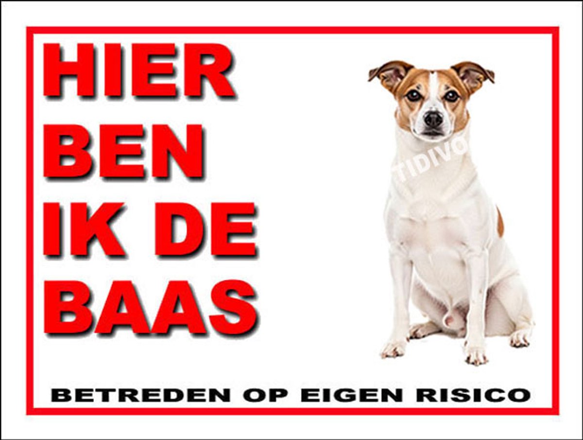 Norrbottenspets 2