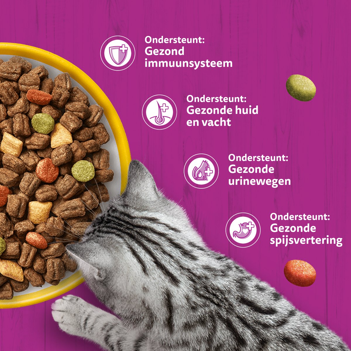 Whiskas Adult 1+ kattenbrokken kip 3 x 3,8 kg thumbnail 5