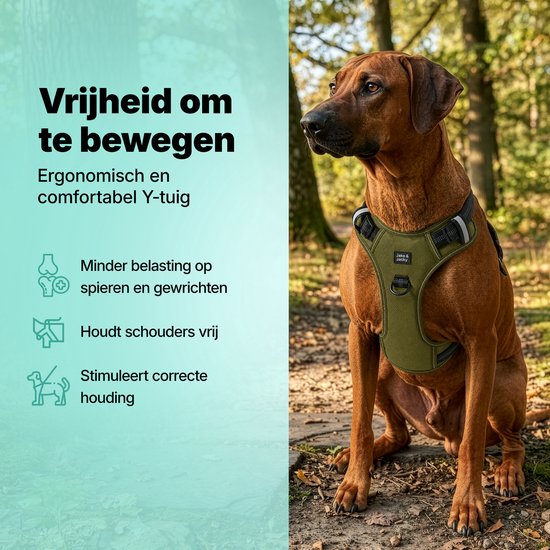 Harnais pour chien - Harnais anti- Trek - Harnais pour chien - Y Harness Dog - Réfléchissant - Vert - Taille L