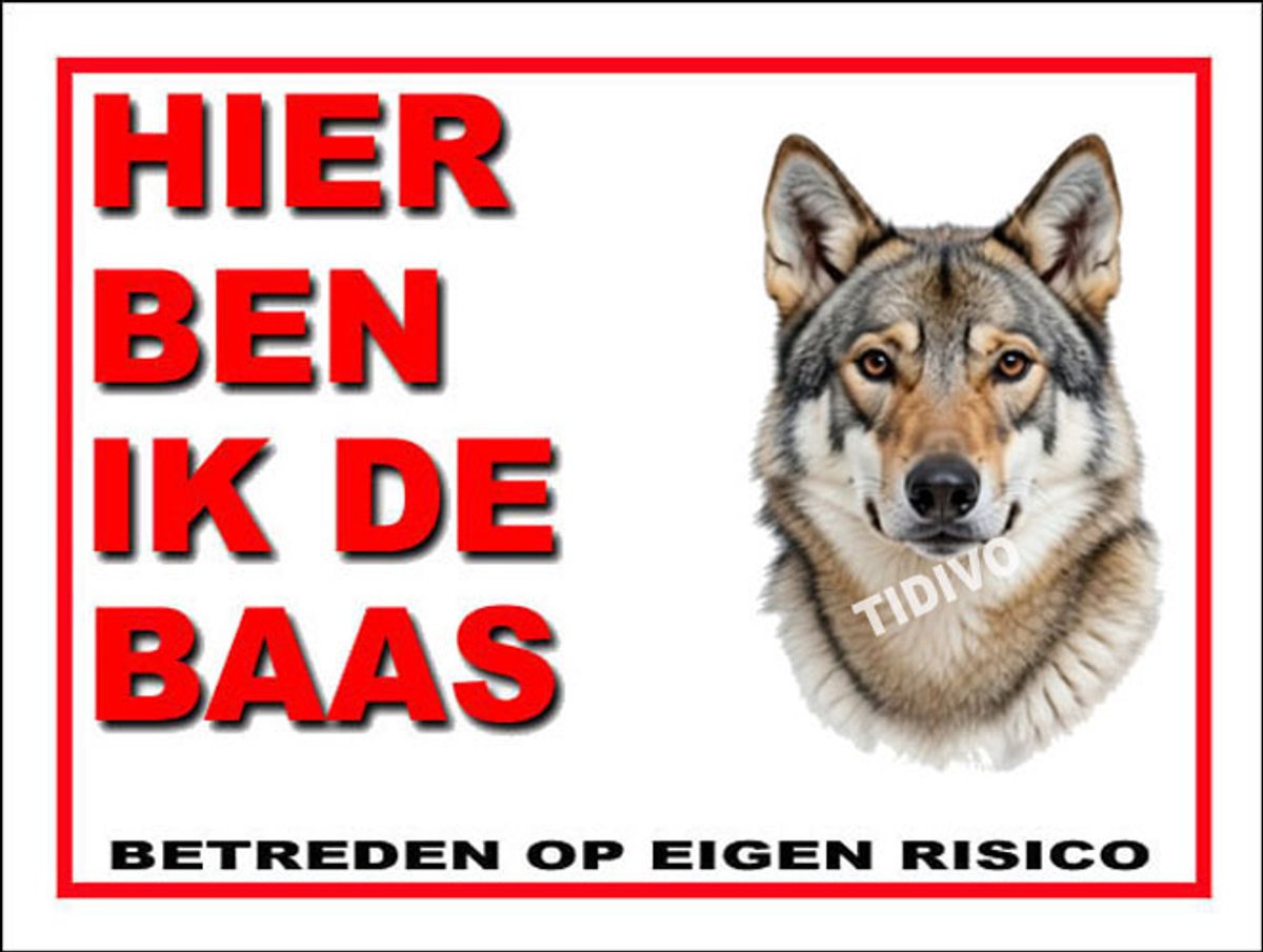 Saarlooswolfhond 2