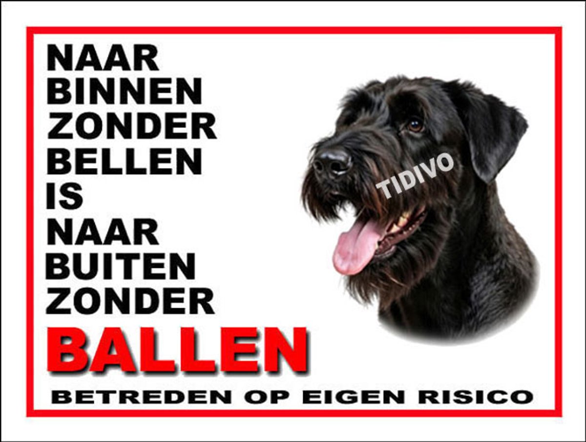 Riesenschnauzer, zwart 11