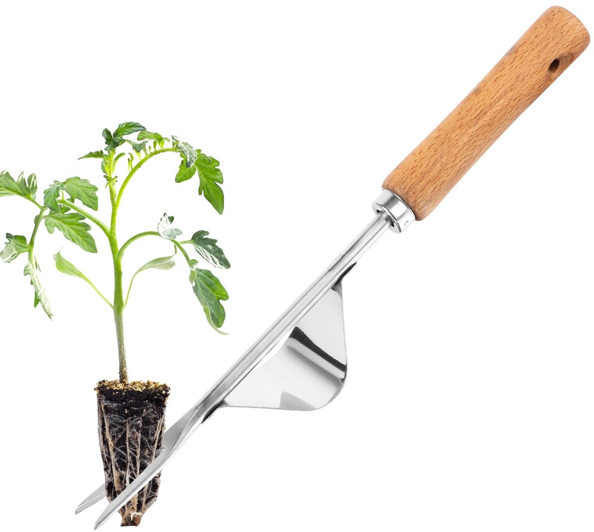 Dailygoods - Dailygoody - Onkruidsteker - Handwiedapparaat - Roestvrij staal - Houten handvat - Tuinhand - Ideaal voor wieden - Geschikt voor tuinliefhebbers