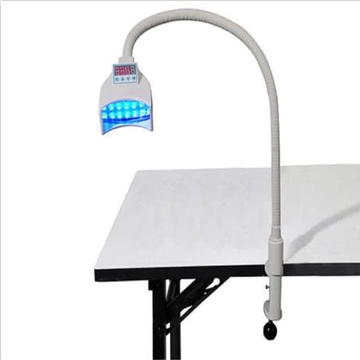 Professionele LED Tandbleeklamp met Koude Lichttechnologie voor Stralend Witte Tanden en Snelle Resultaten