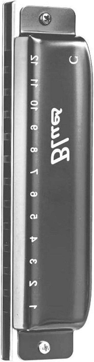 Blues Mondharmonica - 12 Gaten Harmonica - Muziek Maken - Rond Klankgat Ontwerp - 124mm - Zilver