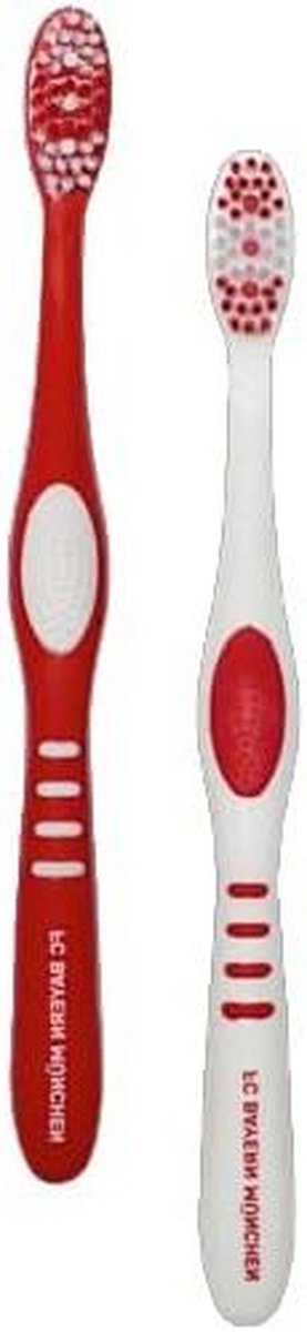 Tandenborstels Set - Mondverzorging - Dagelijkse Hygiëne - Set van twee - 19 cm - Multicolor