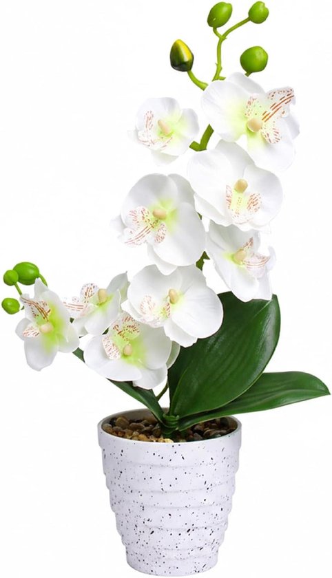 Kunstorchideeën in Vaas - Zijden Bloemen - Home Decoratie - Kant-en-klare Elegantie - 32 cm Hoog - Wit
