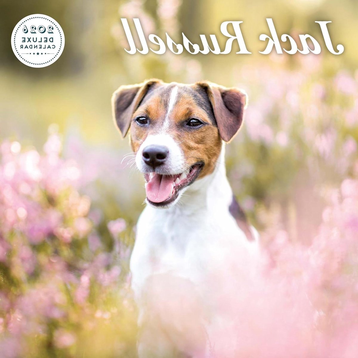 Honden Kalender - Huisdieren Planner - Jaar Overzicht - Topkwaliteit Afbeeldingen - 30.5 x 30.5 cm - Meerdere Kleuren