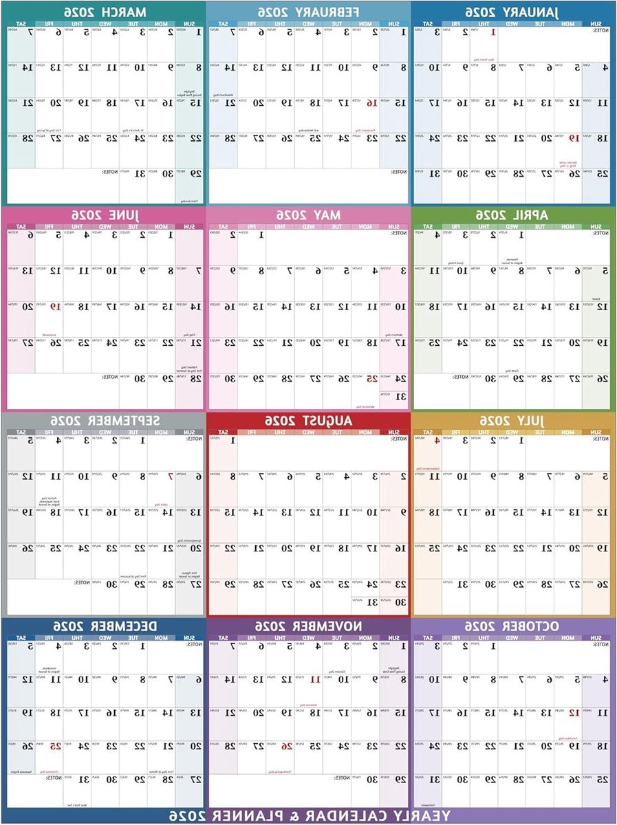 Wandkalender 2026 - Jaarkalender Planner - Jaar Overzicht - Groot formaat - 30 cm breed - Veelkleurig