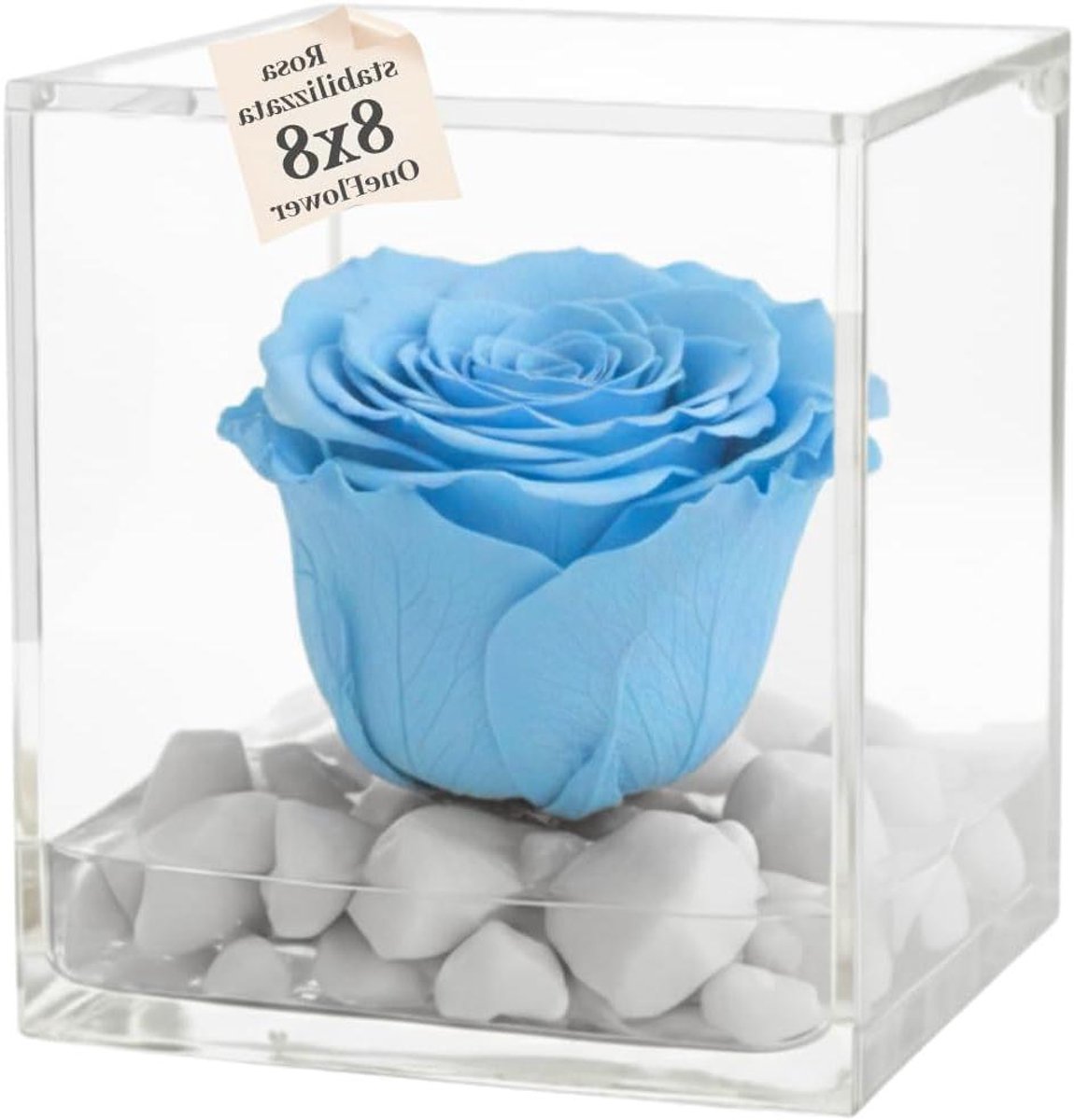 Gestabiliseerde Roos Kubus - Eeuwige Roos Cadeau - Romantisch Cadeau Geven - Marmerlook Basis - 8 cm - Roze