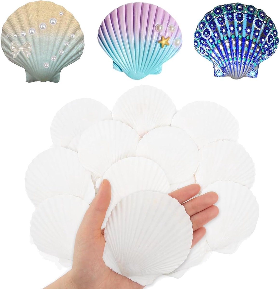 Natuurlijke Grote Schelpen (7-8cm) - 20 Stuks voor Schilderen, DIY Creaties en Decoratie van Huis en Aquarium