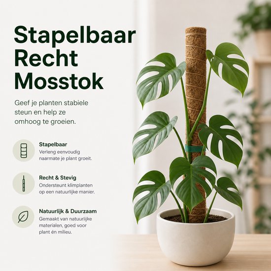 BOTC Mosstok voor Planten - 2x40cm - Plantenstok - Plantensteun - Perfect voor Monstera, Pothos en Meer