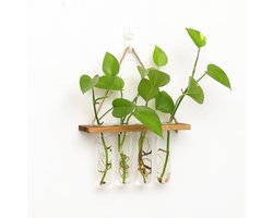 Wandgemonteerde Hydroponische Planten Propagatiestation met 4 Glazen Testbuizen en Houten Frame voor Plantenvermeerdering en Terrarium Decoratie