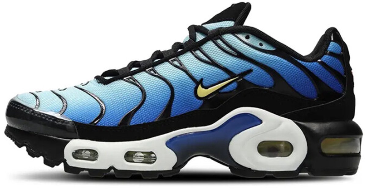 Nike - Nike Air Max Plus - Sneakers - Kinderen - Blauw/Wit