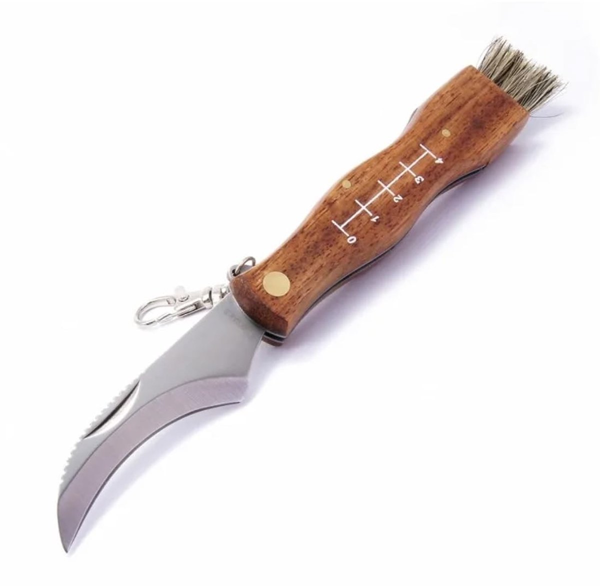 Dailygoods- Paddenstoelmes met Borstel - Klein Paddenstoelmes - Opvouwbaar - Outdoor/Camping - Zwart - M - Paddenstoelenmes