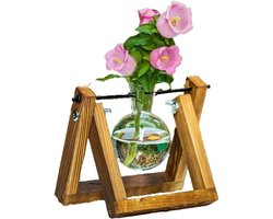 Plant Terrarium voor Plantenvermeerdering met Houten Rek voor Hydroponics - Ideaal voor Thuis en Kantoor Decoratie - 1 Pot