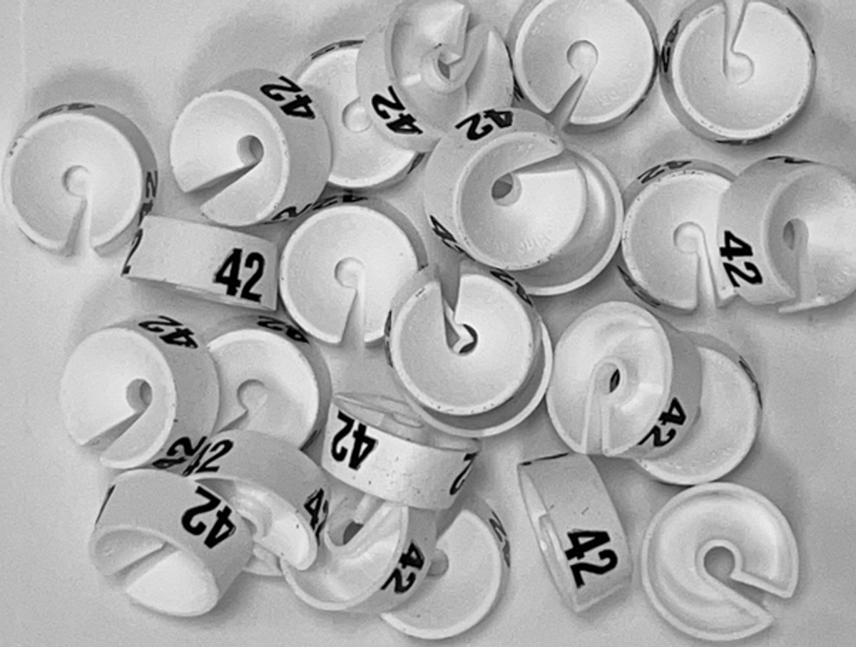 Bleijenberg Maatdopje maat 42 wit - Maataanduiding voor kledinghangers per 25 stuks - Maatringetje Ø 20 mm - Kledinghangers - Kleerhanger - Kapstok - Mark-Brics - wisersizer