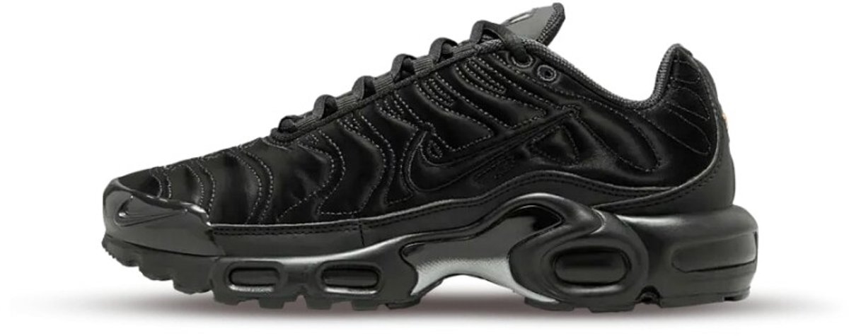 NIKE WMNS NIKE AIR MAX PLUS FV1169-001 Nike Dames Sneakers Veelkleurig