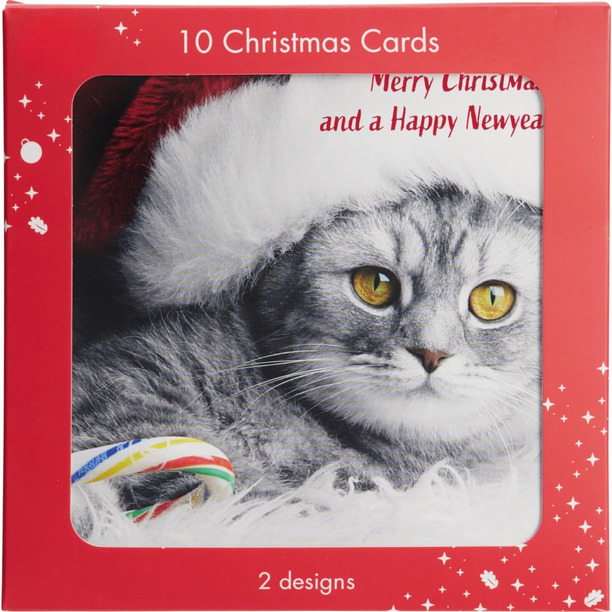 BRENZOOS- Kerstkaarten Set 10 Stuks - 2 Ontwerpen - 14x14 cm - Blanco Binnenkant - Feestelijke Wenskaarten - Liefdevol Ontworpen - Emoties Overbrengen