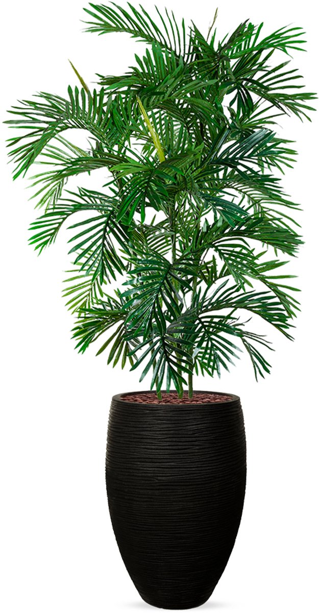 HTT Decorations Kunstplant Arecapalm in Vaas elegant Deluxe rib zwart H215 cm