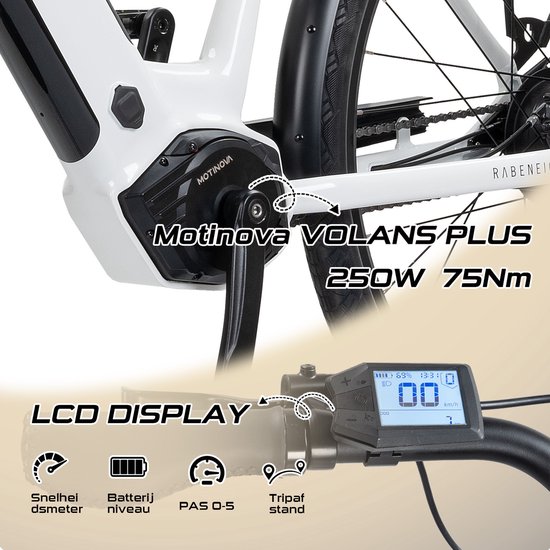 Rabeneick Comfort elektrische Stadtfiets 28 inch, elektrische fiets, stadsfiets, middenmotor 75 Nm, pedelec met 36V 14,5Ah accu, 522Wh, maximaal 150 km bereik champagnegoud — afbeelding 4