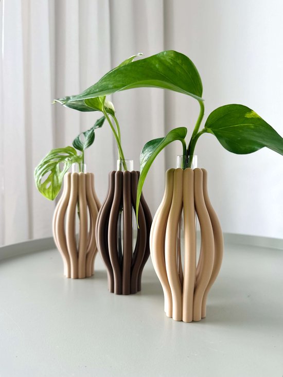 NEMI stekhouder set van 3 – organisch design planten stekjes houder met glazen buisjes...