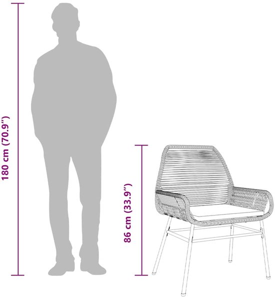 vidaXL - Tuinstoelen - 2 - st - met - kussens - poly - rattan - zwart