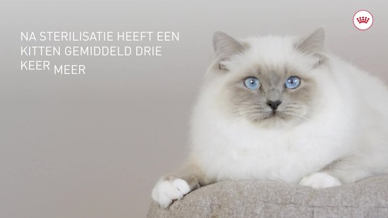 Royal Canin Kitten Sterilised - Kattenvoer - 400g - Gesteriliseerde kittens