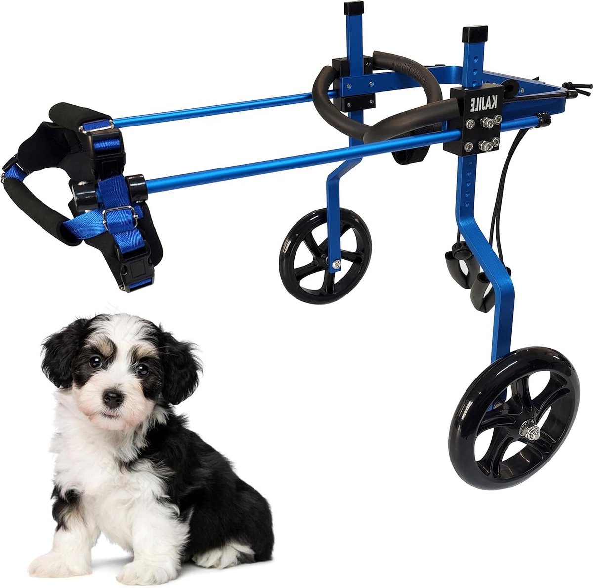 Honden Rolstoel - Hulpmiddel Achterpoten - Mobiliteit Herstellen - Verstelbaar Frame - S-3 - Blauw