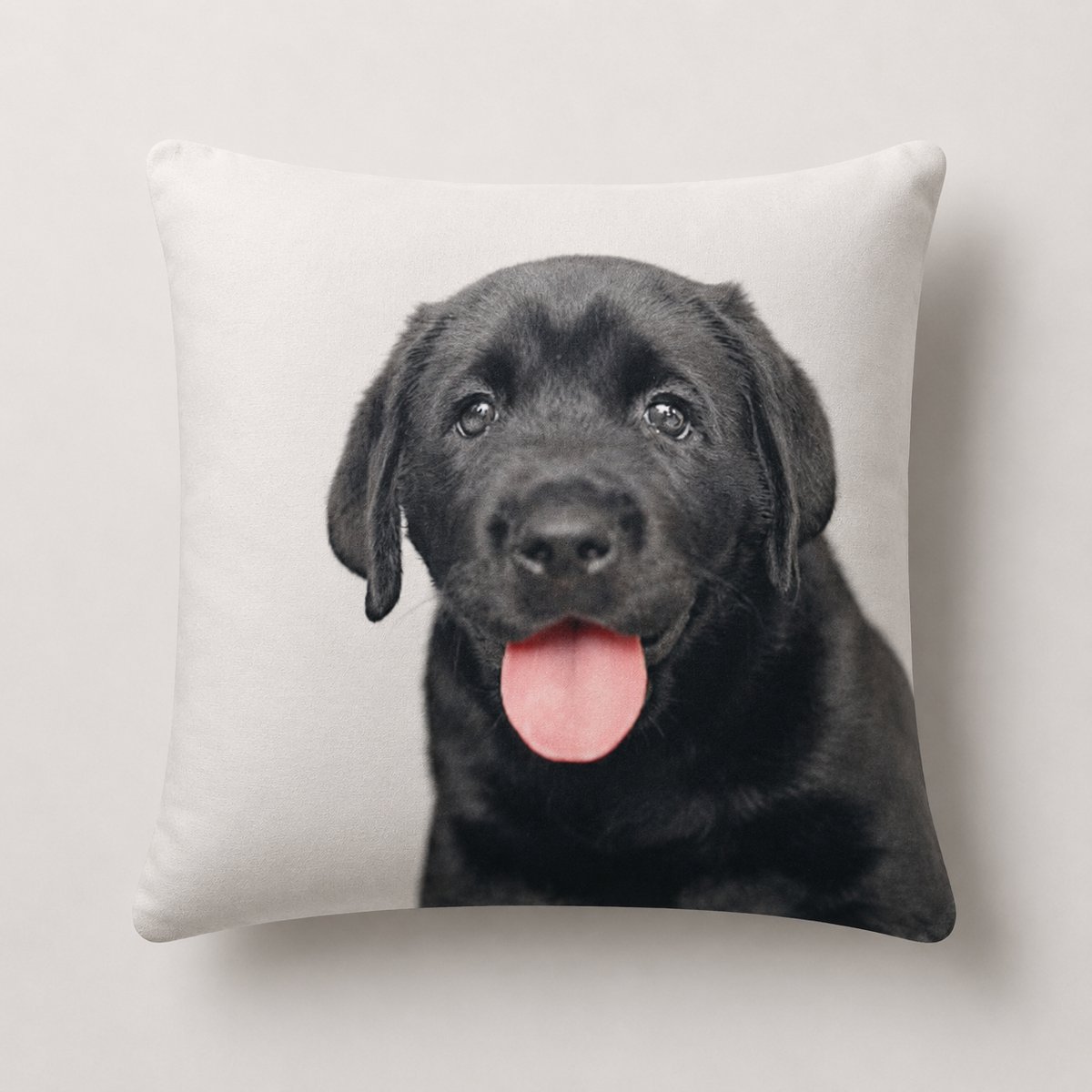 Unique Living 3 stuks - kussenhoes - sierkussenhoes - wit - zwart - 45 x 45 cm - rits - fluweel - hond - Labrador pup