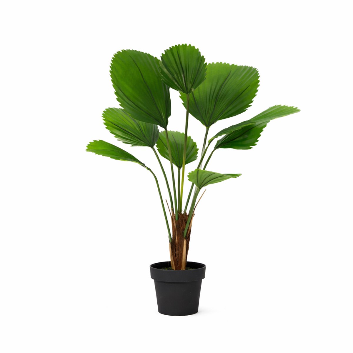 Licuala Grandis kunstplant 104 cm – Realistische kunstpalm voor binnen