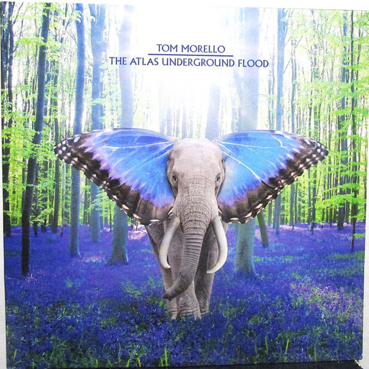 The Atlas Underground Flood